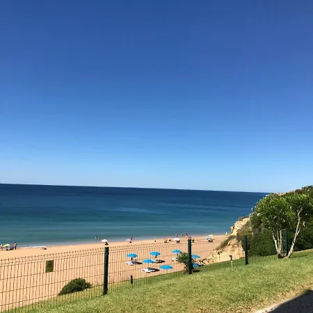 酒店 爱丽丝宜奥斯酒店