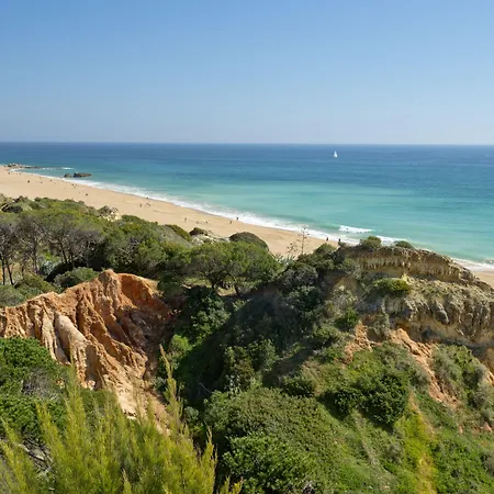 爱丽丝宜奥斯酒店 酒店 阿尔布费拉