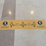 اليسيوس البوفيرا