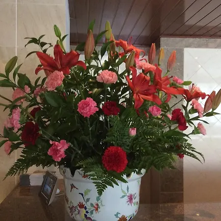 Ξενοδοχείο Alisios